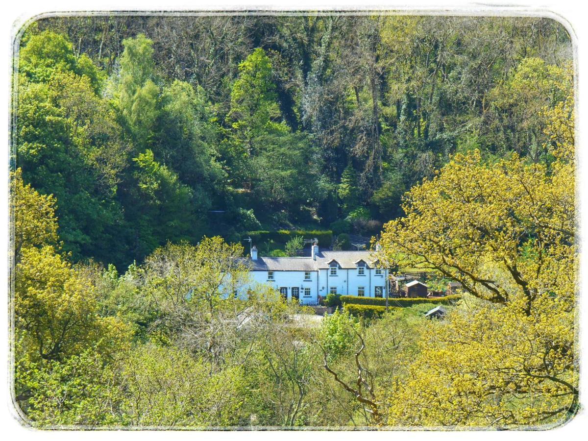 River Cottage St Asaph Exterior foto